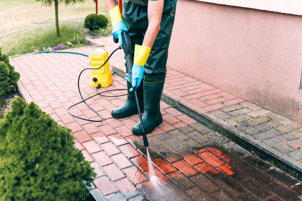 Best Exterior Home Cleaning  in Reedspt, OR